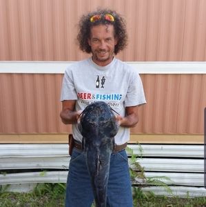 Meet your Posher, Donald